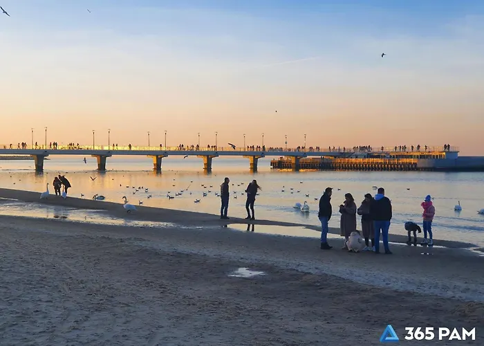 شقة 365pam - Z Basenem Polanki Park *